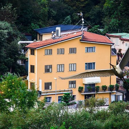 Albergo Terme Santamaria 카스텔포르테 외부 사진